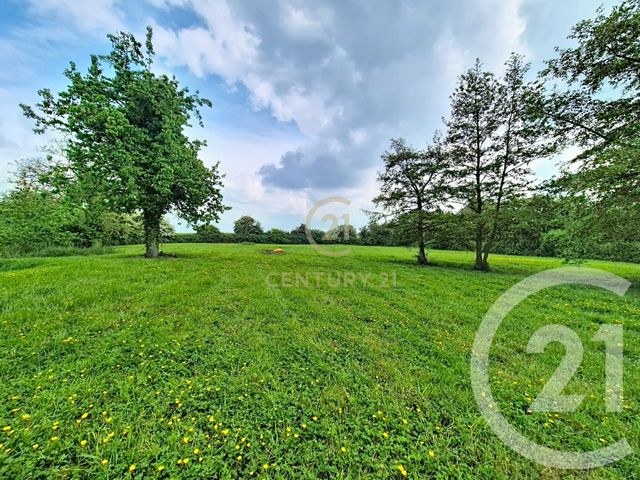maison à vendre - 4 pièces - 287.4 m2 - NIEPPE - 59 - NORD-PAS-DE-CALAIS - Century 21 La Lys